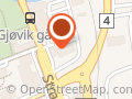 Gjøvik Dyreklinikk AS