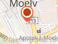 Kiwi Moelv