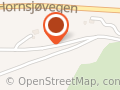 Olav Lien