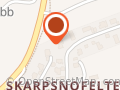 Den Grønne Gren
