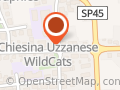 Chiesina Basket - Wildcats