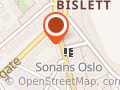 Bislet Naturmedisinske Senter Kari Evang