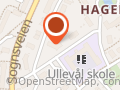 Åsne Hjukse