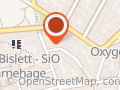 Fredrik Brarud