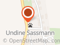 Sassmann Undine
