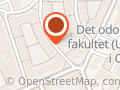 Fotograf Stine Moen