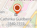 Sykepleiernes Misjonsring