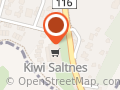 KIWI (Saltnes)