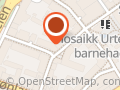 Den Tyrkisk Islamske Union