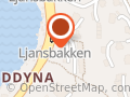 Fysioterapeut Bente Rogstad