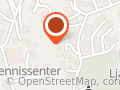 Odd Chr Hansen