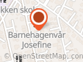 Paal Ritter Schjerven