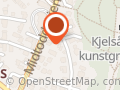 Konsulent Mjønes