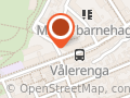 Super Mini Vålerenga ANS