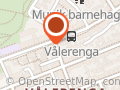 Vålerenga Halal Burger AS