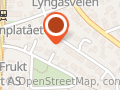 95 Grader Språkvask Siri Løvstad