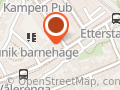 Vålerenga Vel