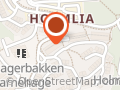Somaliske Nettverk I Holmlia