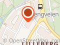 Budget Leiebil - Oslo