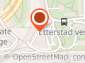 Lille Vinkel Sko AS