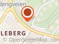 Barbro Børli Løkken