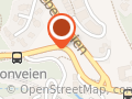 Anders Lileng