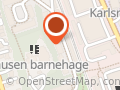 Ole-Anders Backe