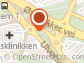 Gustav Thrane-Steen Økern Bilsenter AS