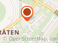Elleve Stjerner Idrettslag