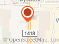 Buddy