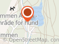 Isdammens venner