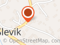 Joker Slevik