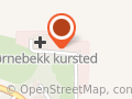 Getanehs Kunstneriske Virksomhet
