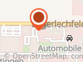 Auto Songut