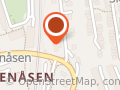 Dagrun Lemstad Finsrud
