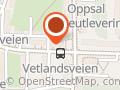 Haug Vegard