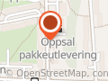 Arild Simensen