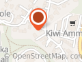 Duo Service ANS