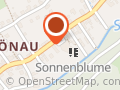 Kindergarten Sonnenblume