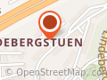 Biostim Svein Ericsson