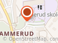 Ammerud skole