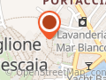 La Cicala