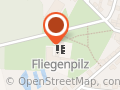 Kita Fliegenpilz