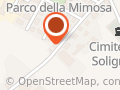 Suore Missionarie Francescane Del Verbo Incarnato
