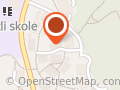 Norwegian Sickle Cell Anemia Organization