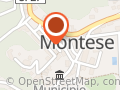 MoneyGram - Moneta