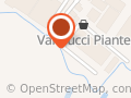 Vannucci Piante Vannino