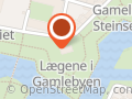 Lægene i Gamlebyen