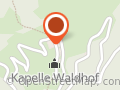 Hofschank Wald
