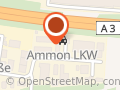 Auto-Ammon